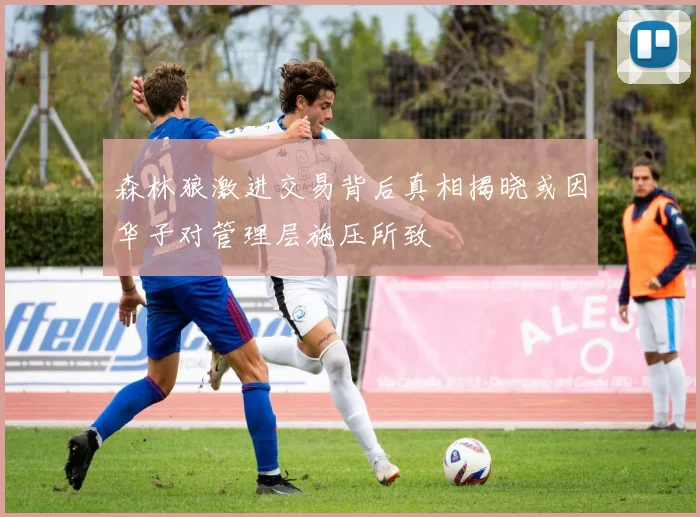 森林狼激进交易背后真相揭晓或因华子对管理层施压所致