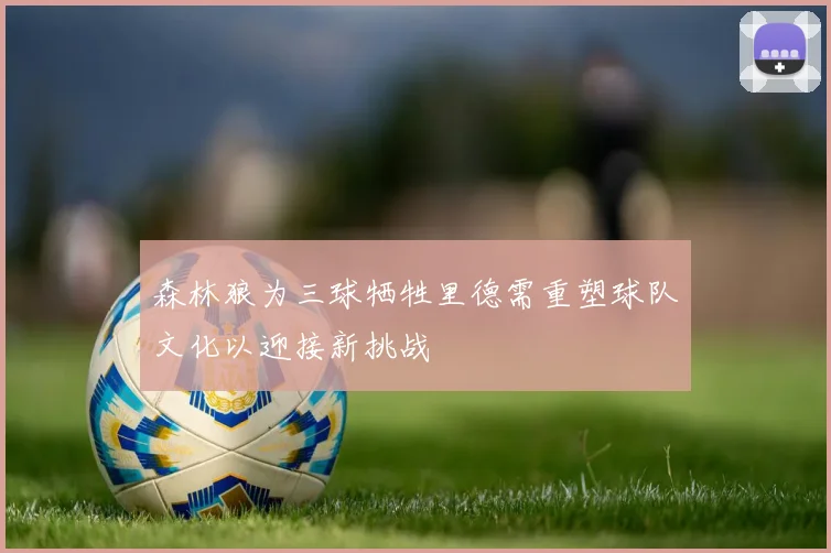 森林狼为三球牺牲里德需重塑球队文化以迎接新挑战