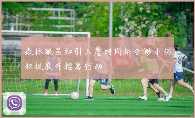 森林狼虽知引入詹姆斯机会渺小仍积极展开招募行动