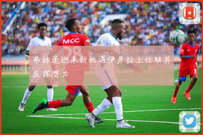 弗林蓬迎来新机遇伊劳拉上任助其发挥潜力